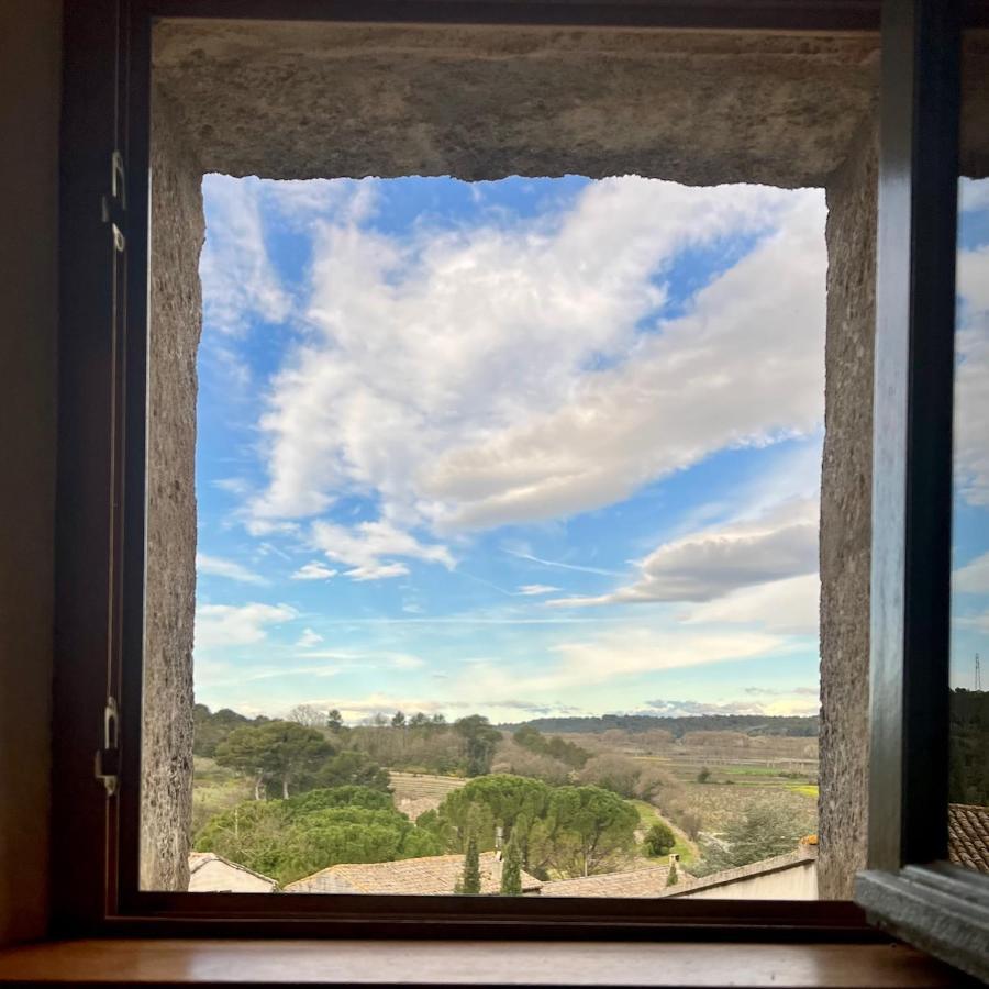 Proche Uzes Le Cocon Du Peintre Anglais Sagriès Buitenkant foto