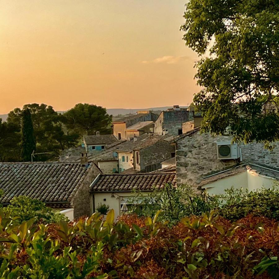 Proche Uzes Le Cocon Du Peintre Anglais Sagriès Buitenkant foto