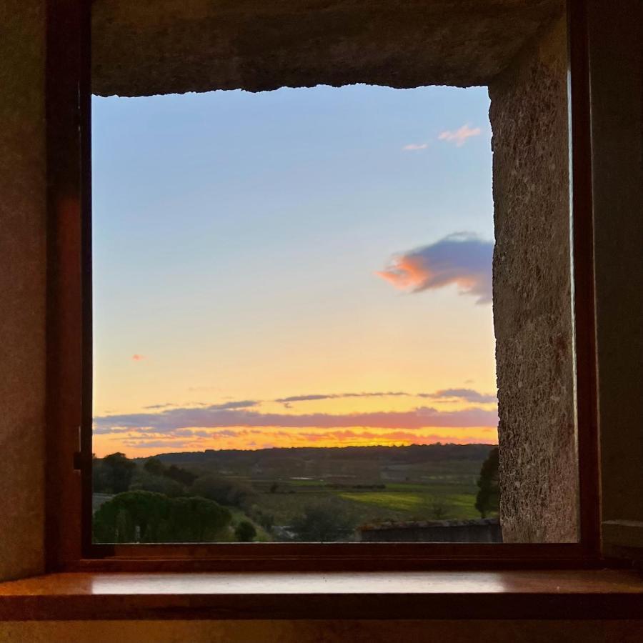 Proche Uzes Le Cocon Du Peintre Anglais Sagriès Buitenkant foto